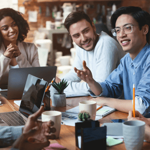 KNOLSKAPE - Organizational Learing and Development